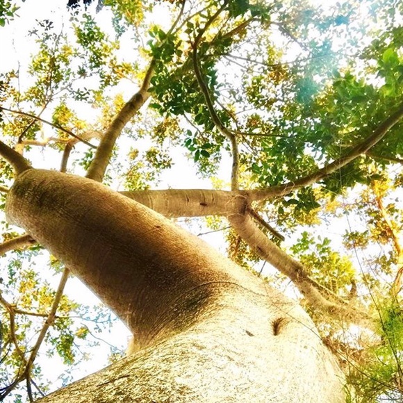 Meet your Posher, Geri - Picture 2 of 3